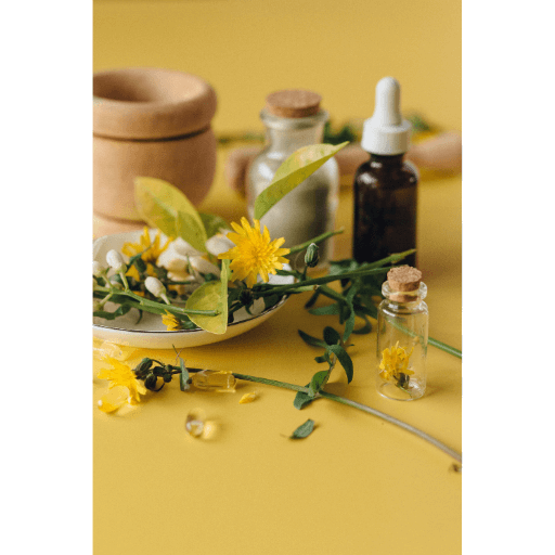 Homéopathie Homéopathie