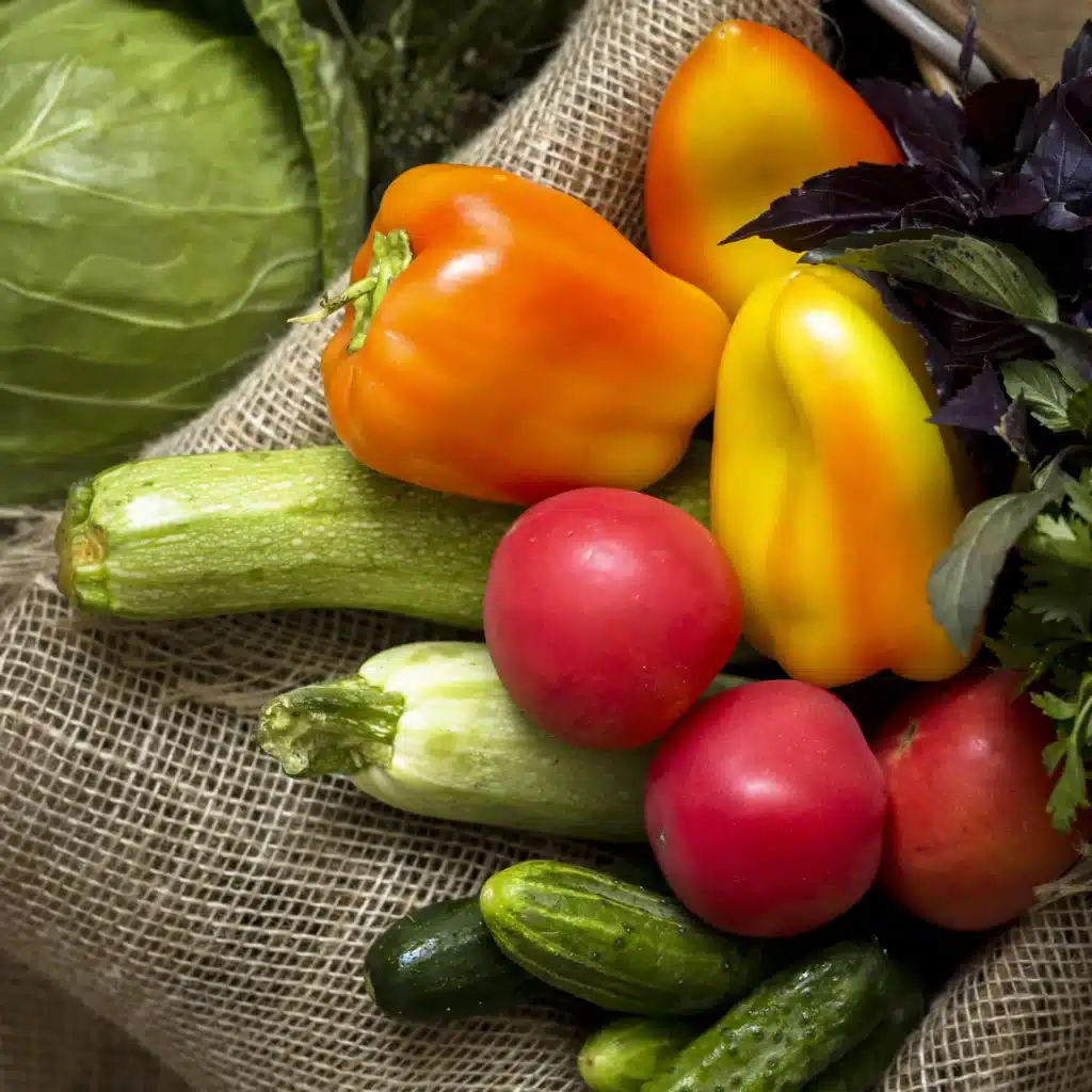 Pourquoi l'alimentation joue un role cle dans votre sante